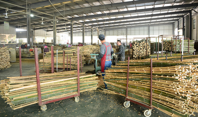 Shenzhen Magic Bamboo Industrial Co., Ltd. productielijn van de fabrikant