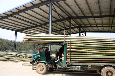 Shenzhen Magic Bamboo Industrial Co., Ltd. productielijn van de fabrikant